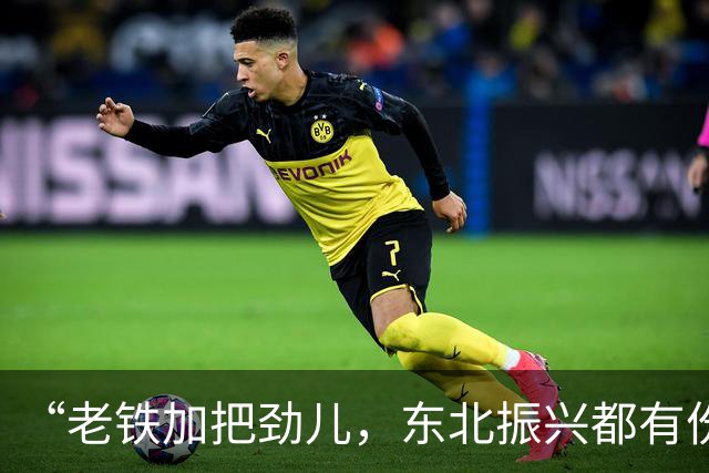 “老铁加把劲儿，东北振兴都有份儿”