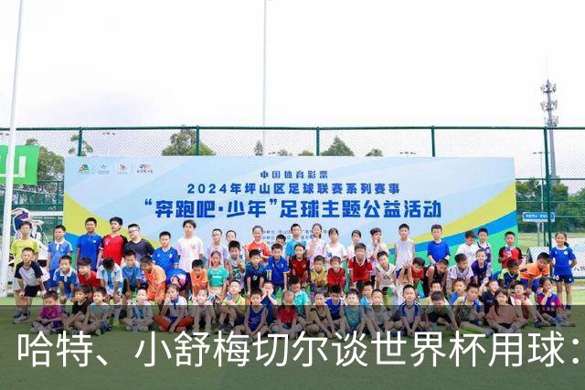 哈特、小舒梅切尔谈世界杯用球：这球肯定有问题，远射太多了