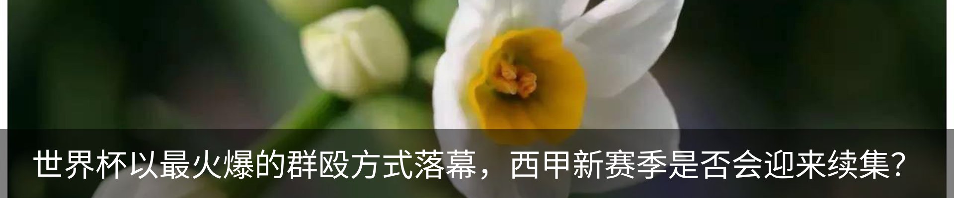 资讯中心