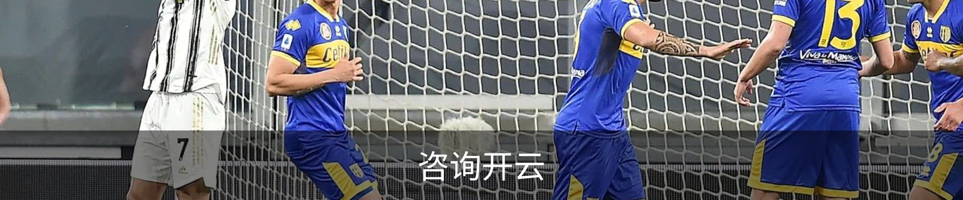 咨询开云