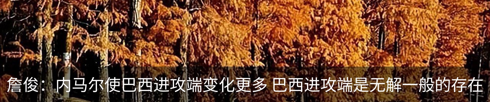 资讯中心