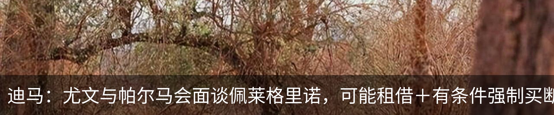 资讯中心