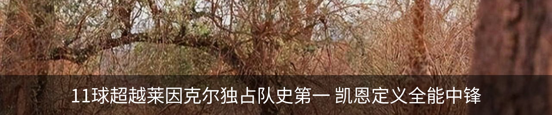 资讯中心